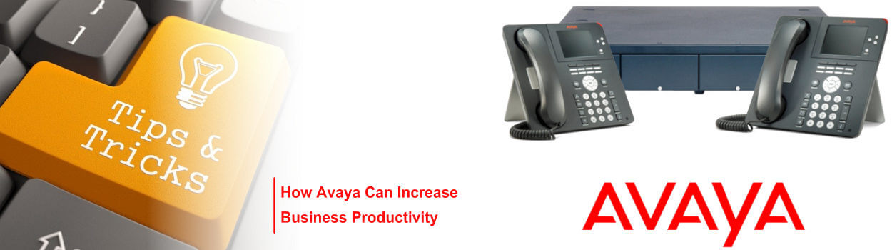 Avaya Buying Tips Dubai