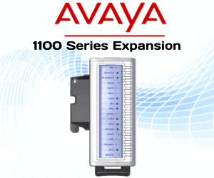 Avaya 1100 Series Expansion Module