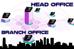 back-office-telephone-system-abudhabi