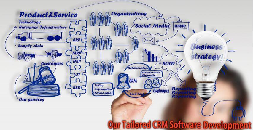Custome CRM for Business